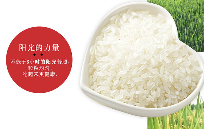 五芳斋稻花香米大米5kg